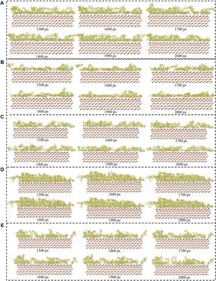 Study of the Adsorption Behavior of Surfactants on Carbonate Surface by Experiment and Molecular Dynamics Simulation